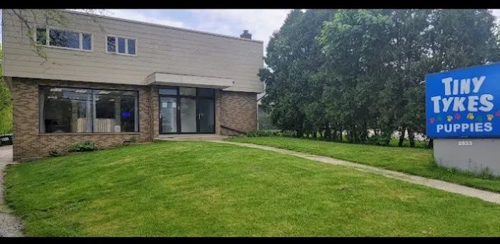 Tiny Tykes Puppies Picture 10