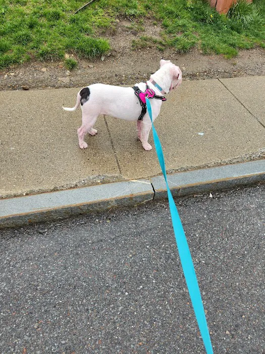 Tufts at Tech Community Veterinary Clinic Picture 1