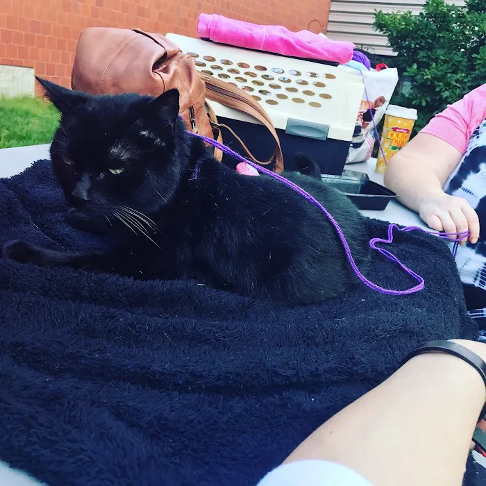 Tufts at Tech Community Veterinary Clinic Picture 3