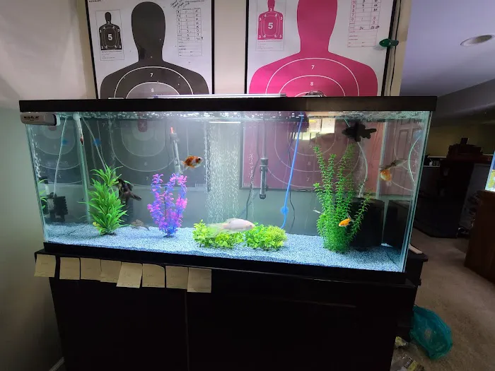 Pet Paradise Picture 5