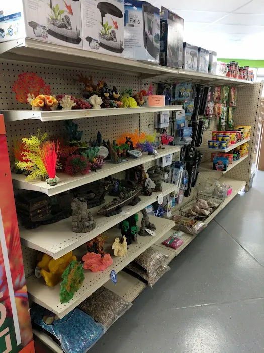 Pet Paradise Picture 8