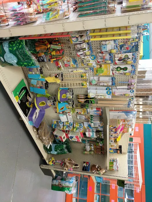 Pet Paradise Picture 10