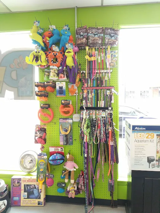 Pet Paradise Picture 9
