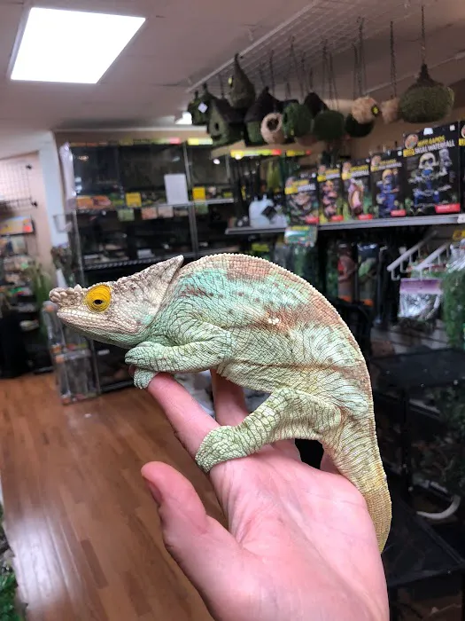 Animal House Pets & Supplies Picture 8