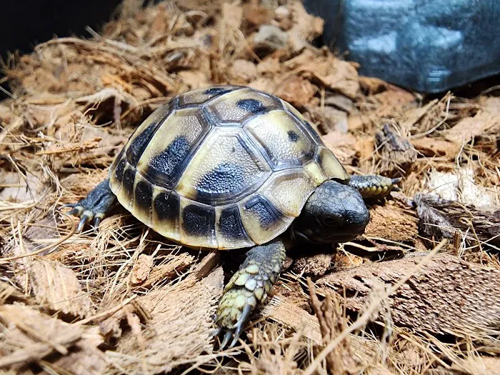 Animal House Pets & Supplies Picture 4