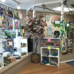 Animal House Pets & Supplies