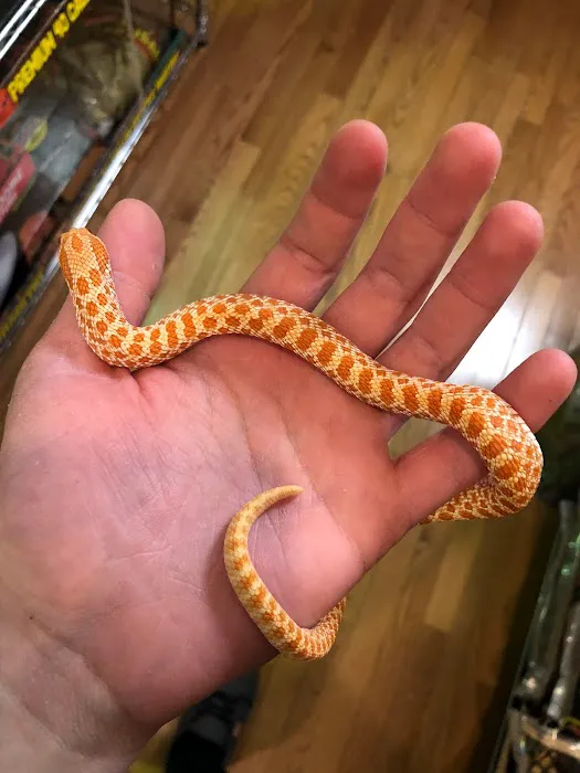 Animal House Pets & Supplies Picture 3