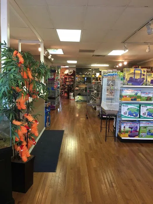 Animal House Pets & Supplies Picture 6