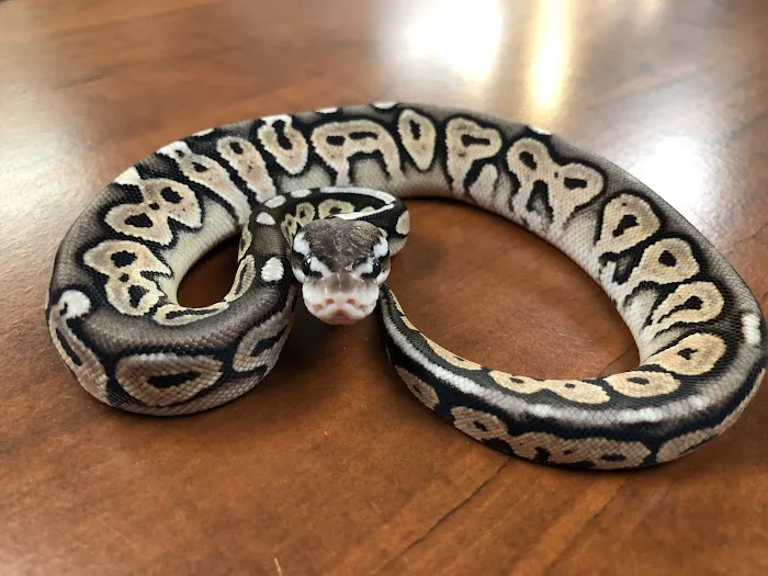 Animal House Pets & Supplies Picture 2