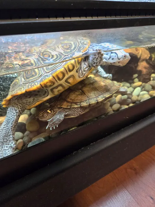 Animal House Pets & Supplies Picture 5