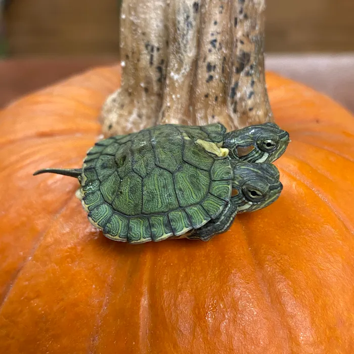 Animal House Pets & Supplies Picture 10