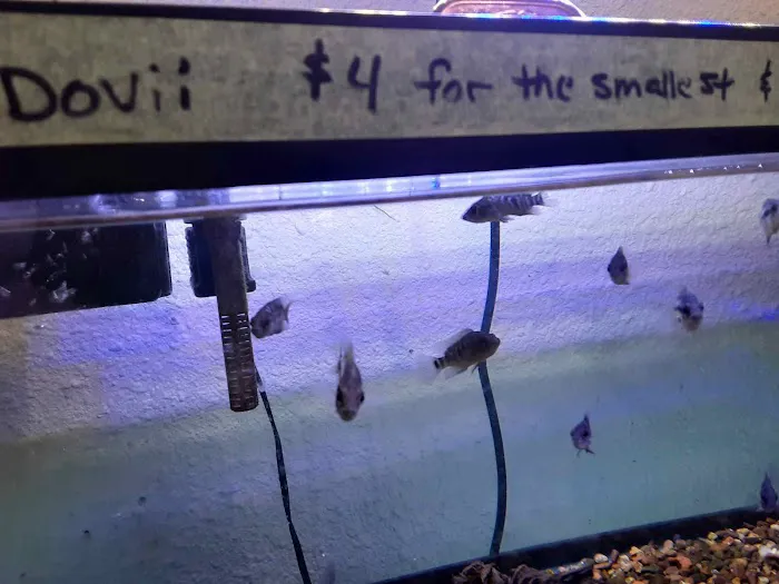 Milwaukee Aquatics Picture 7