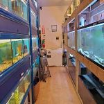 Milwaukee Aquatics
