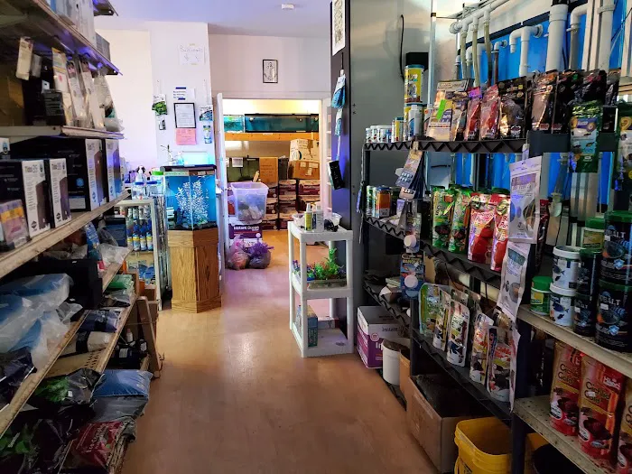 Milwaukee Aquatics Picture 10