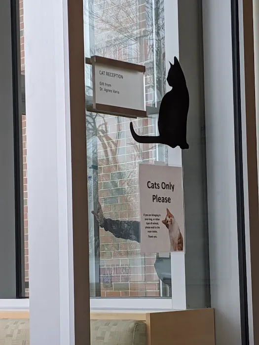Tufts Animal Behavior Clinic Picture 4