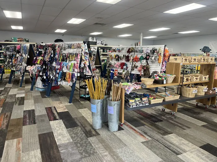 End of the Leash Picture 3