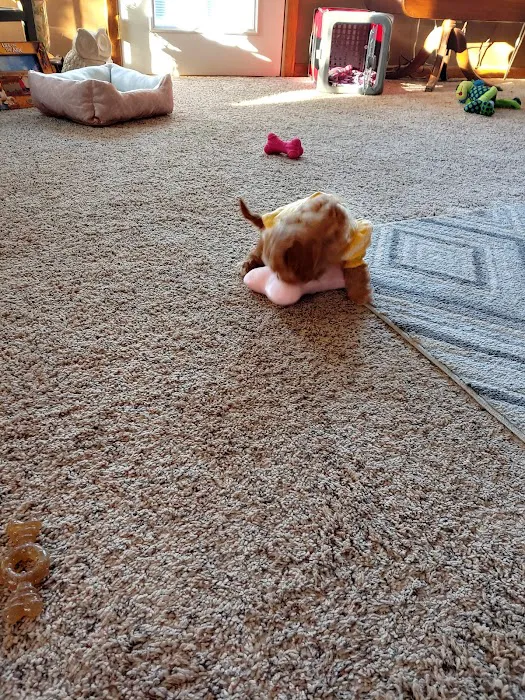 End of the Leash Picture 9