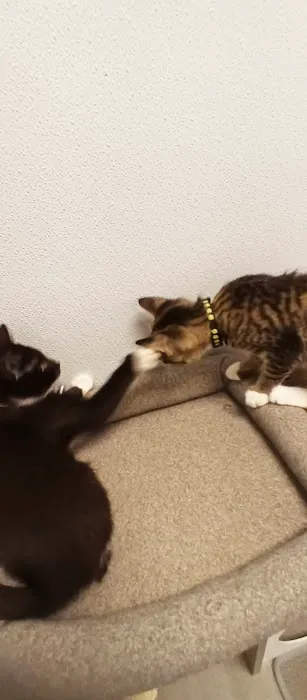 End of the Leash Picture 1