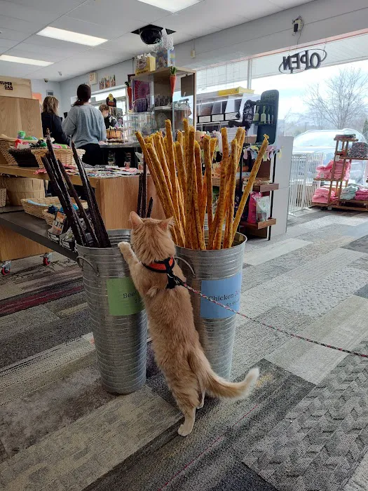 End of the Leash Picture 2