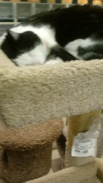 End of the Leash Picture 6