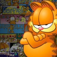 Garfield Pet Supplies ico