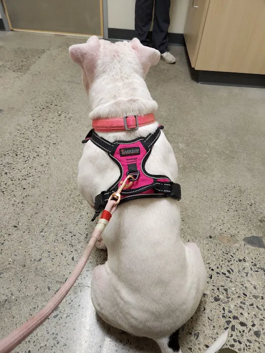 Vetco Total Care Animal Hospital Picture 3