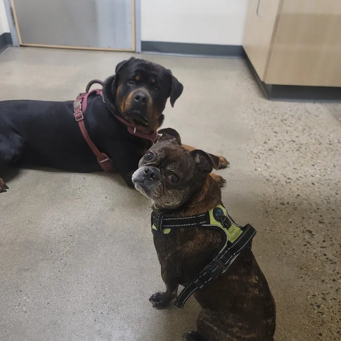 Vetco Total Care Animal Hospital Picture 8
