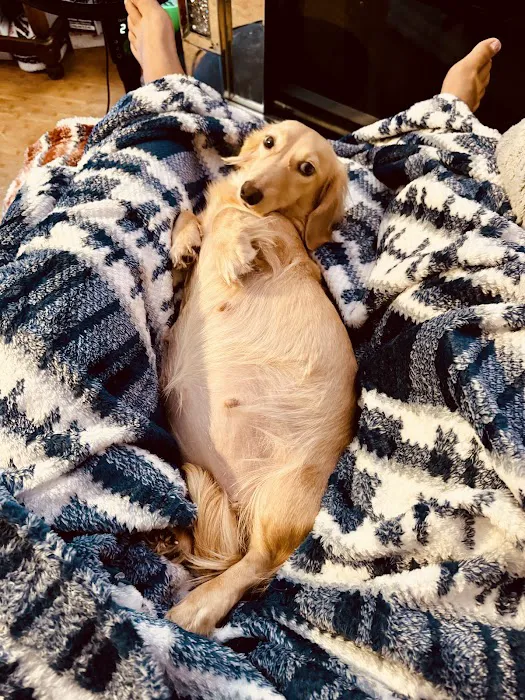 GIVEHAND FLYERS AND FEATHERED FRIENDS Picture 10