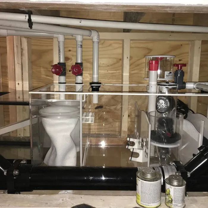 Aquatic Realmz Aquarium Maintenance & Design Picture 5