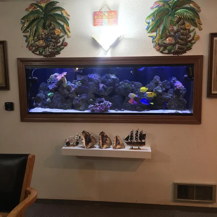 Aquatic Realmz Aquarium Maintenance & Design Picture 7