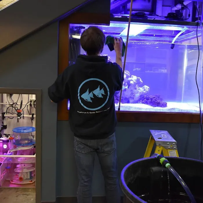 Aquatic Realmz Aquarium Maintenance & Design Picture 3