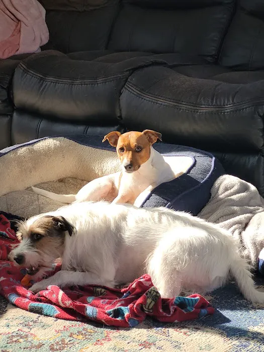 Mt Wachusett Veterinary Hospital Picture 3