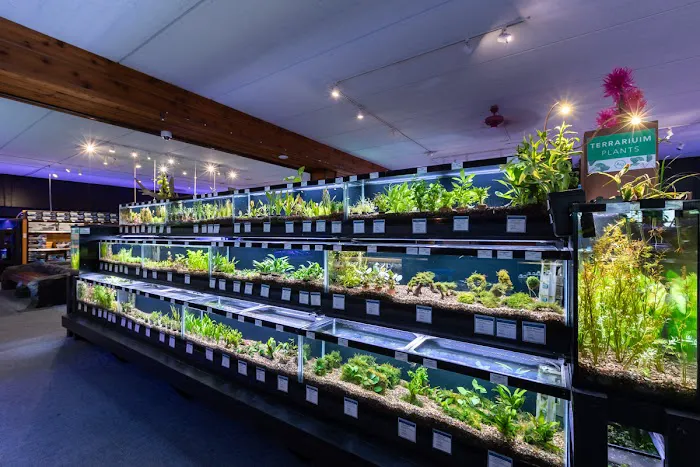 Aquatics Unlimited Picture 2