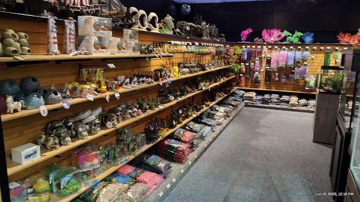 Aquatics Unlimited Picture 5