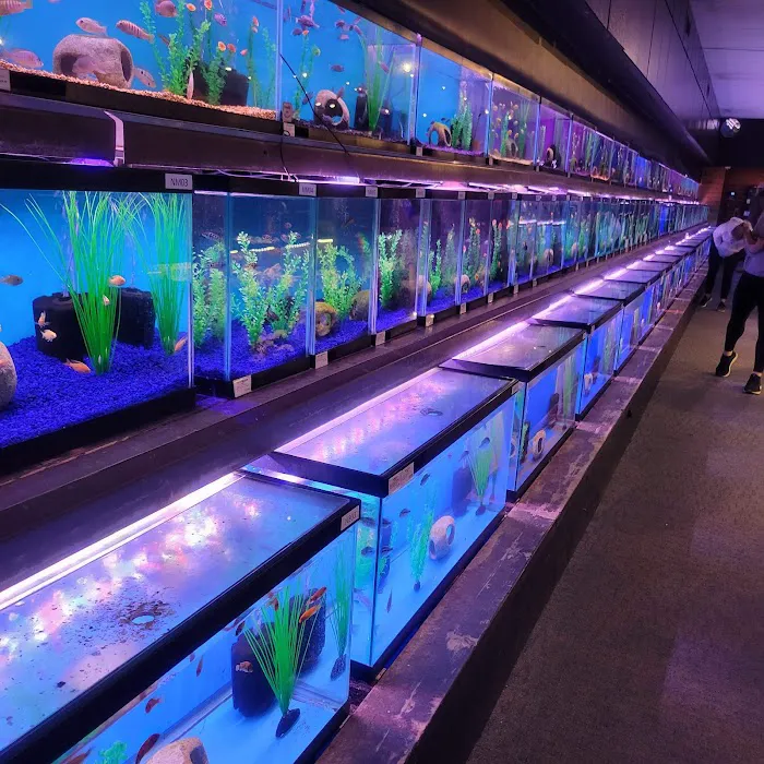 Aquatics Unlimited Picture 8