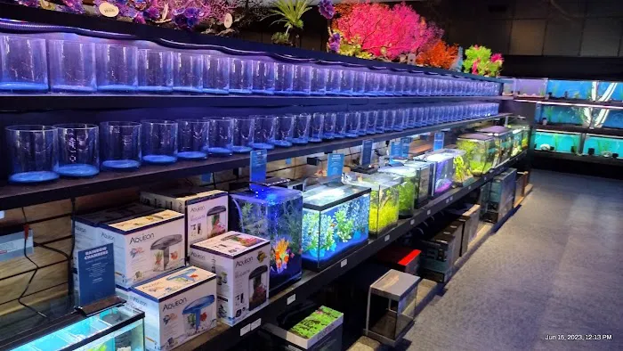 Aquatics Unlimited Picture 9