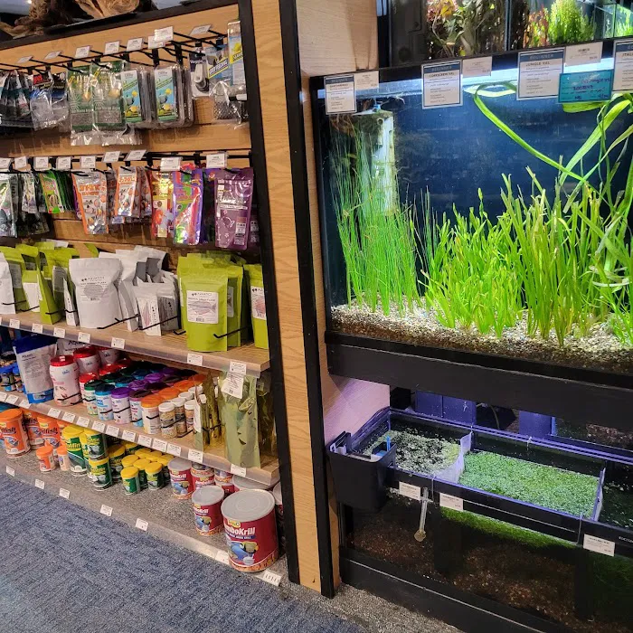 Aquatics Unlimited Picture 7