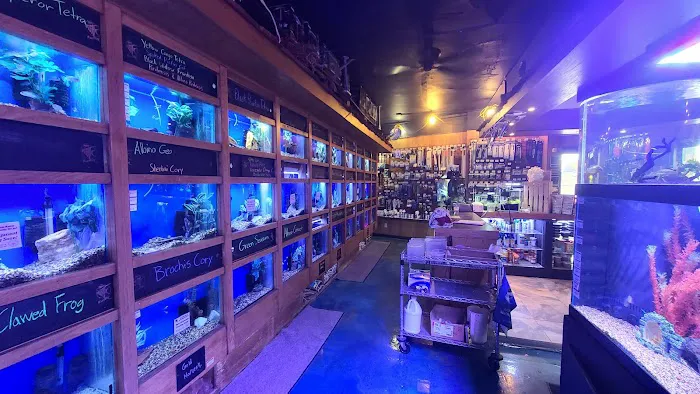 The Fish Factory Picture 2