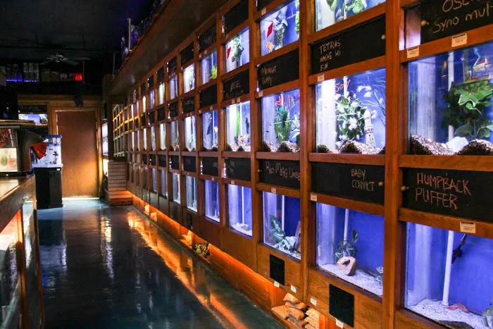 The Fish Factory Picture 6