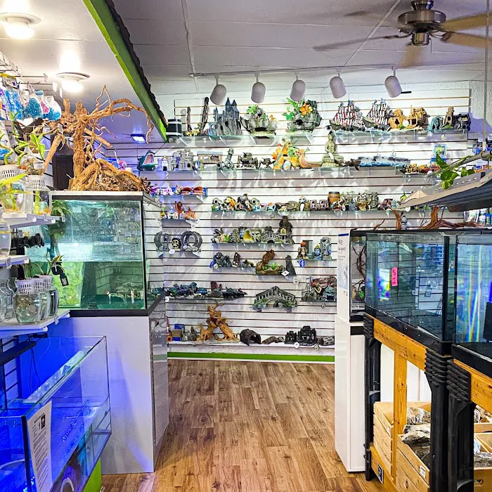 The Fish Factory Picture 4