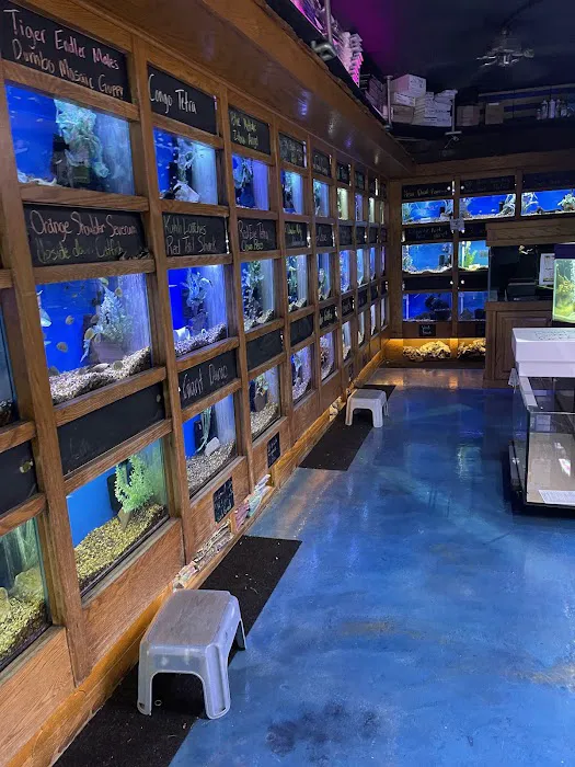 The Fish Factory Picture 9