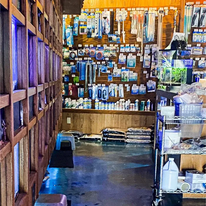 The Fish Factory Picture 3