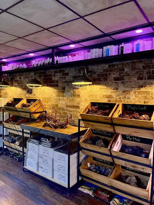 The Fish Factory Picture 8