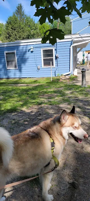 Watertown Animal Hospital Picture 2