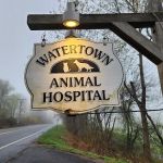 Watertown Animal Hospital