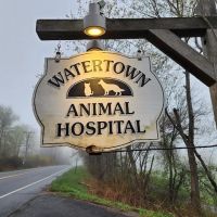 Watertown Animal Hospital ico