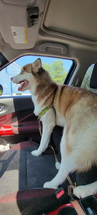 Watertown Animal Hospital Picture 6