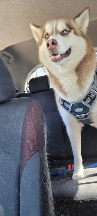 Watertown Animal Hospital Picture 5