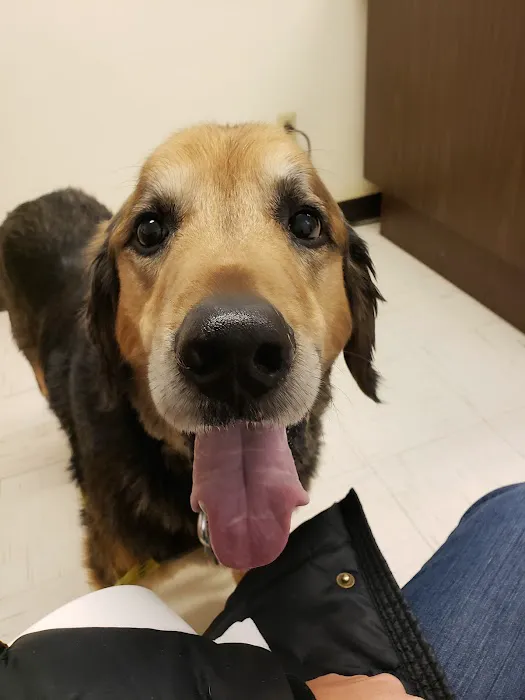 Watertown Animal Hospital Picture 10