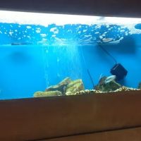 Pet World Warehouse Outlet ico